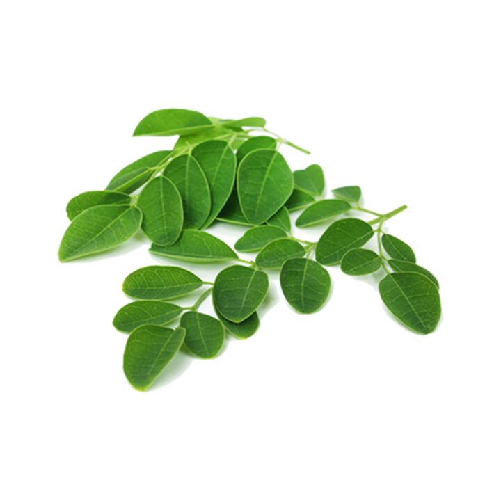 Το Normadex περιέχει φύλλο moringa - ένα ισχυρό φυσικό φάρμακο κατά των παρασίτων